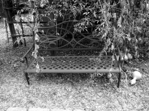 Garden Bench Photography
